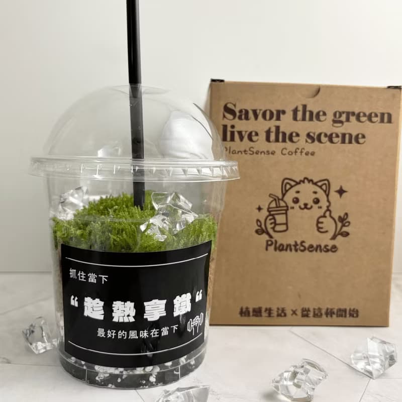 綠色拿鐵 | 給生活一點森呼吸 植物 苔蘚 植栽 綠植 擺飾
