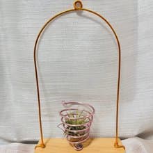 空鳳檜木架 小精靈 空間佈置 交換 畢業禮物(含植物)