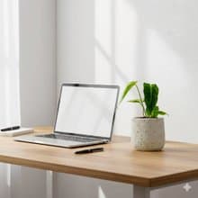 火鶴之王懶人盆栽加圓點白小水泥盆 套盆 開幕盆栽推薦 桌上盆