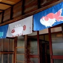 FishCat 吊旗/Fishcat 三入