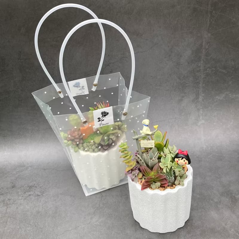 【送禮盆栽】多肉植物/質感水泥盆2色/可任選2款飾品