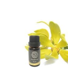 特級伊蘭伊蘭/香水樹精油 YLANG YLANG