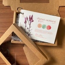 Daily Flower CALENDAR CARD SET - 1-Month Postcard- Sized Booklet