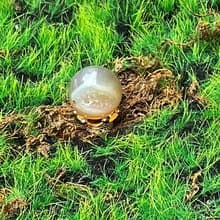 有球必應 招財吸金-天然開口笑瑪瑙球 財運擺件 快速出貨