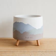 初泥 true nii | 長腳的水泥盆(L) -小鹿山丘