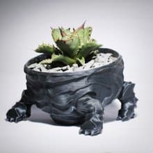 【龐克獅】植物盆器 3d列印盆器 原創設計 塊根盆 多肉盆 水泥盆