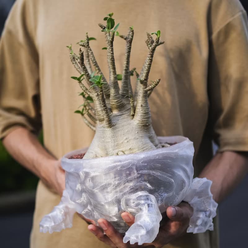 【龐克獅】植物盆器 3d列印盆器 原創設計 塊根盆 多肉盆 水泥盆
