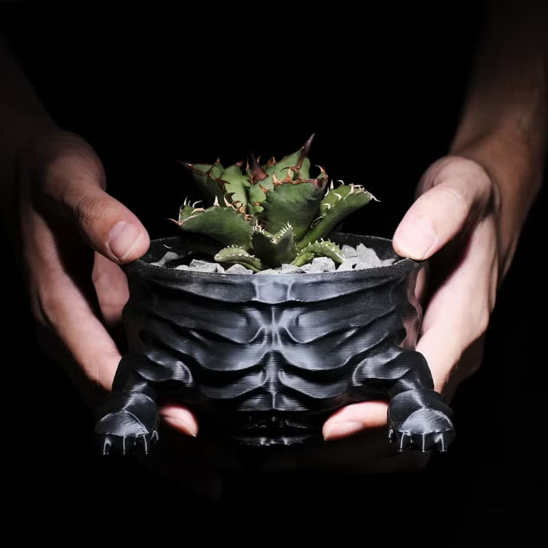 【龐克獅】植物盆器 3d列印盆器 原創設計 塊根盆 多肉盆 水泥盆