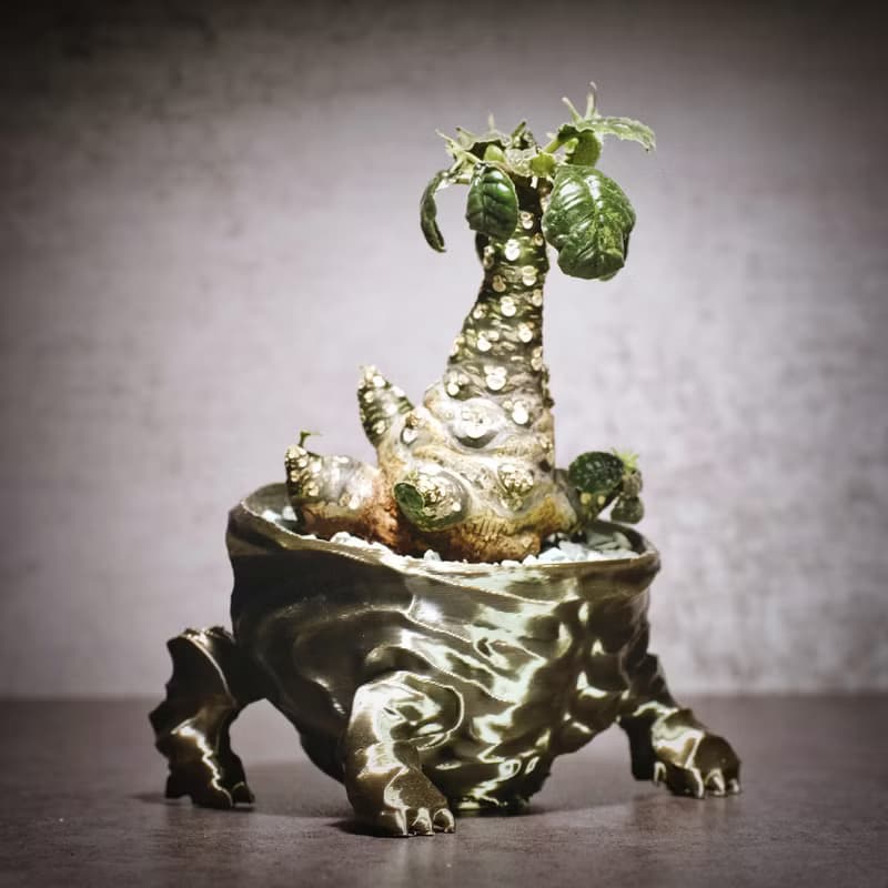 【龐克獅】植物盆器 3d列印盆器 原創設計 塊根盆 多肉盆 水泥盆