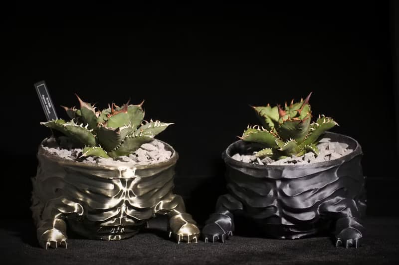 【龐克獅】植物盆器 3d列印盆器 原創設計 塊根盆 多肉盆 水泥盆