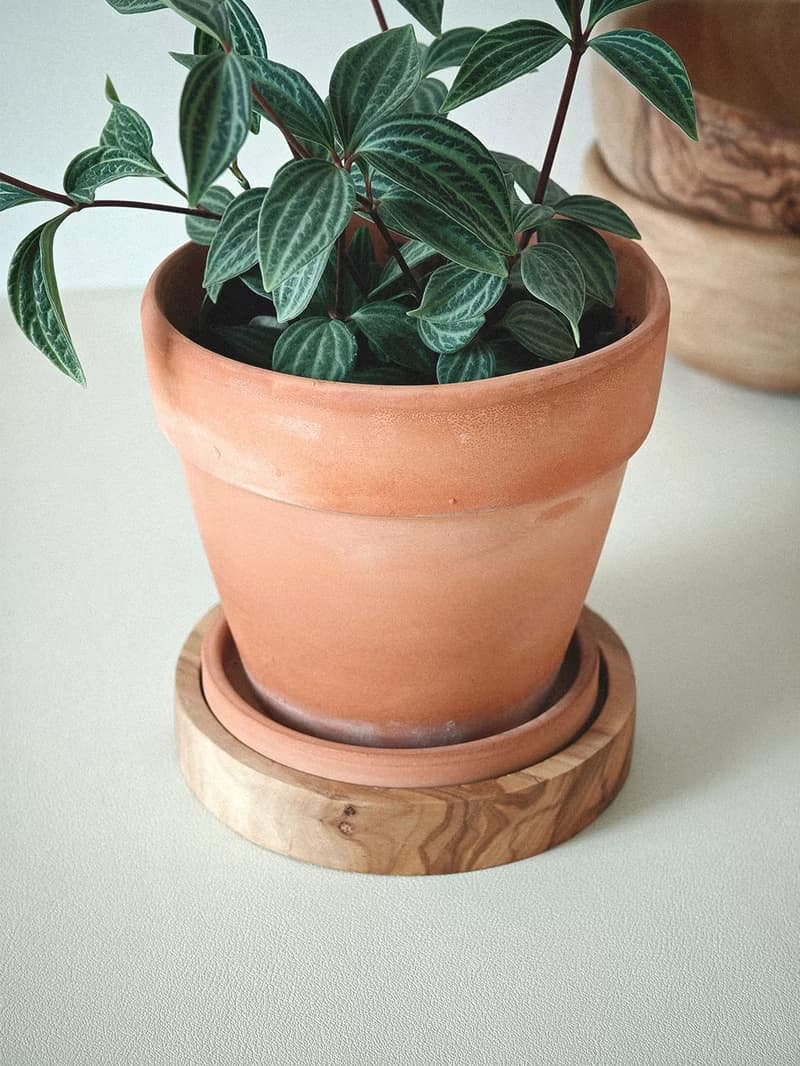 橄欖木杯托掛耳咖啡架組合