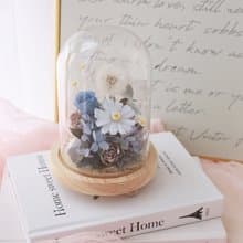 蒲公英玻璃罩