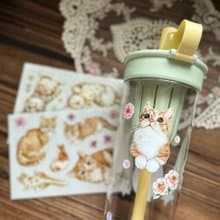 貓咪日常 Cats Daily 乾式轉印貼紙 / 水壺貼紙 / 感壓貼紙