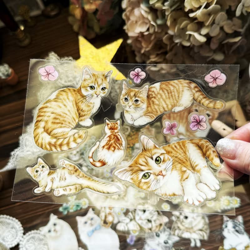 貓咪日常 Cats Daily 乾式轉印貼紙 / 水壺貼紙 / 感壓貼紙