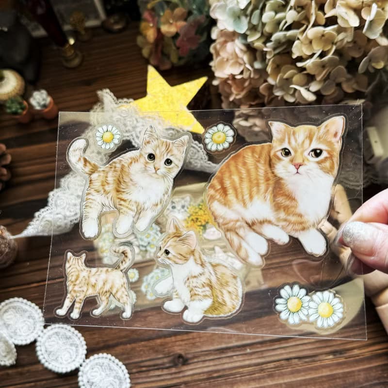 貓咪日常 Cats Daily 乾式轉印貼紙 / 水壺貼紙 / 感壓貼紙