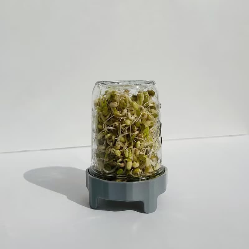 【種植教學系列】【環保禮物】 芽菜種植瓶+種子 交換聖誕禮物