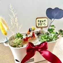 多肉組盆 多肉植物 日式 火影忍者 鳴人 NARUTO 漩渦鳴人 生日禮