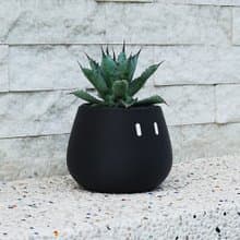 Medium_EMOO/盆栽/室內植物/多肉植物/盆器/交換禮物/聖誕禮物