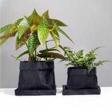 ONF 3D Print Planter - No. 1 BONSAI FOLDED EDGE