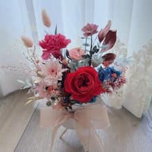 母親節禮物康乃馨盆花康乃馨盆花花束母親節定製盆花母親節永生花