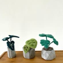 |羊毛氈材料包| 植物盆栽 三款 | 附教學影片 002