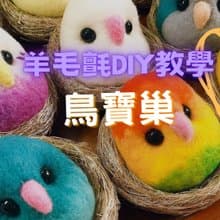 鸚鵡 公仔 羊毛氈 材料包 適合新手 附影片教學