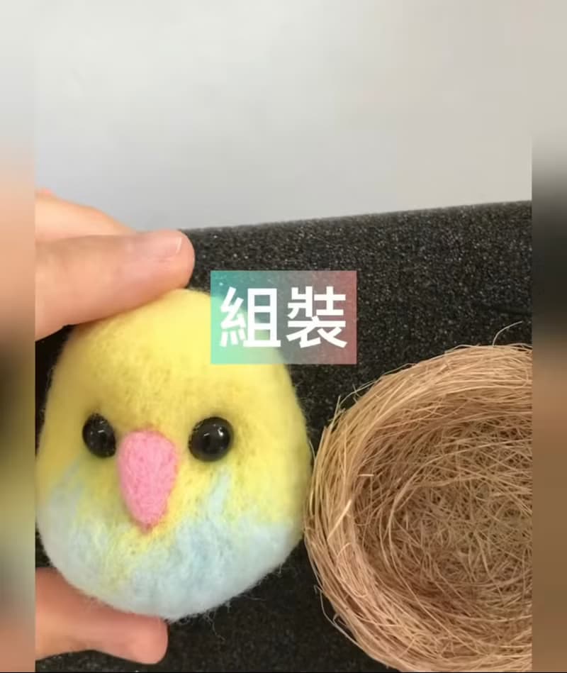 鸚鵡 公仔 羊毛氈 材料包 適合新手 附影片教學