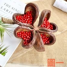 植物擺飾-心型掌葉蘋婆+相思豆/乾燥果實/快速出貨