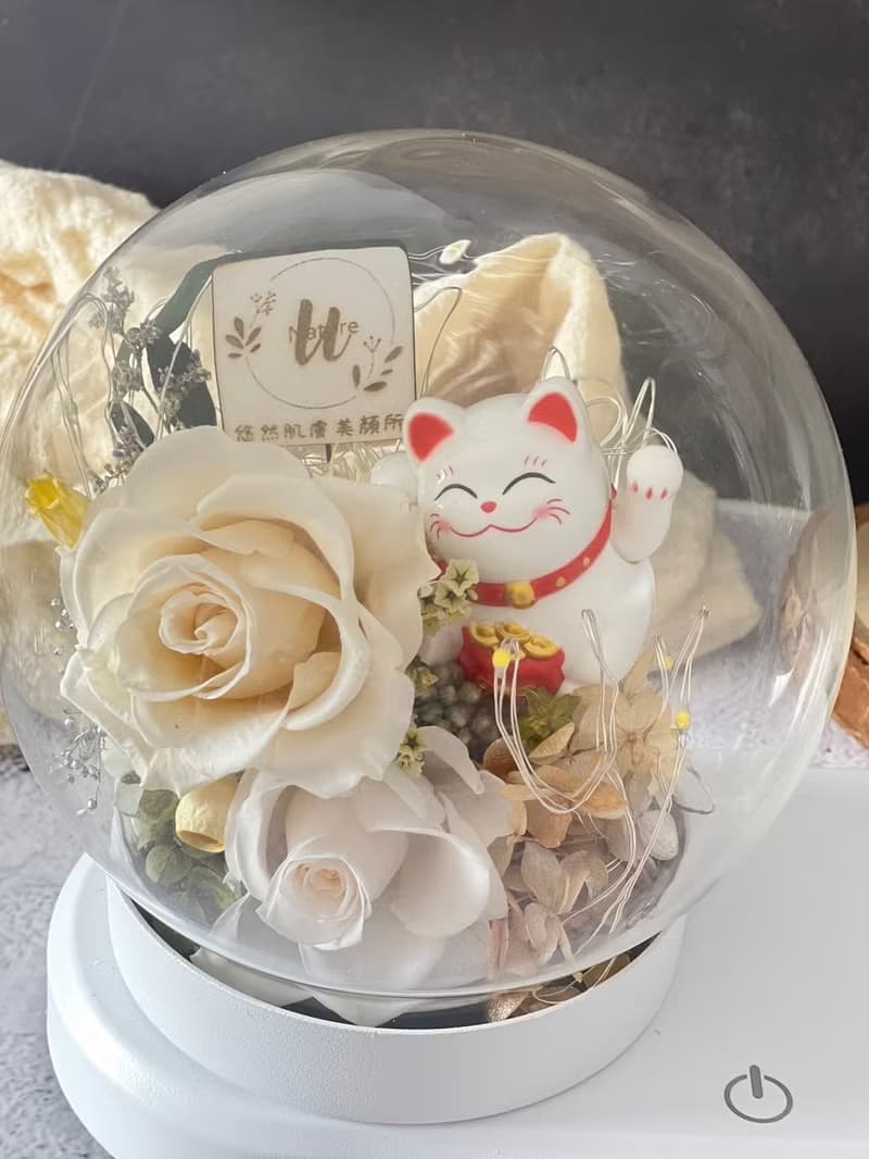 2F【招財貓花語燈】開幕禮/小夜燈/招財小物/店面裝飾/水晶球/