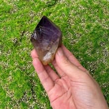 天然能量礦石//紫水晶骨幹//貴人 冥想 智慧 // 財運 療癒 消磁