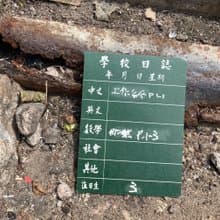 明信片 | #55 課室黑板