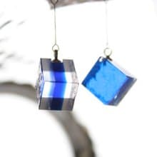 耳環 / 夾式耳環