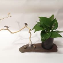 -拖鞋- 花台 花座 展示架  盆栽架 多肉植物 花架 置物台