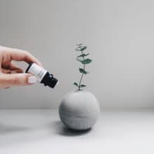 PLANET 小星球 | 水泥擴香石花器 + 純天然精油3件組 (含植物)