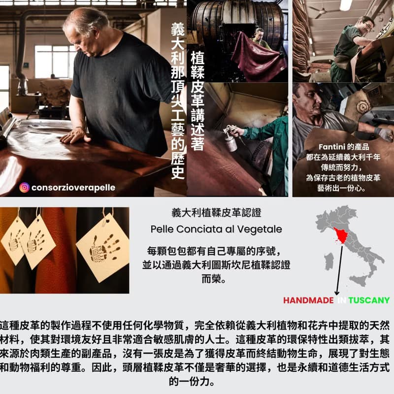 薇妮 雙肩包 VENEZIA ( DARK BROWN)