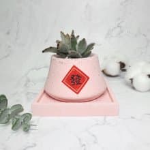 ∣玉兔迎春∣手作泥盆/多肉造型植栽/接單訂製商品
