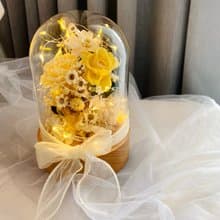 暖陽波斯菊 日本永生花燈 藍芽音響 生日禮物 聖誕節