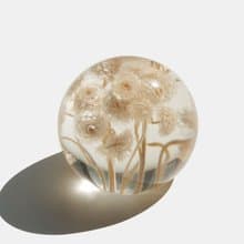 Immortal ball paperweight