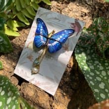 耳環 光明女神閃蝶 刺繡 蝴蝶 手工 珍珠 耳夾 生日  禮物