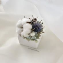 【棉花紫薊】 乾燥花 桌花 擺飾 石膏擴香石