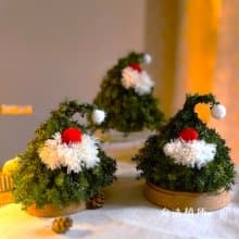 聖誕老人樹 | 聖誕樹 聖誕小樹 乾燥花 松果聖誕花圈交換禮物