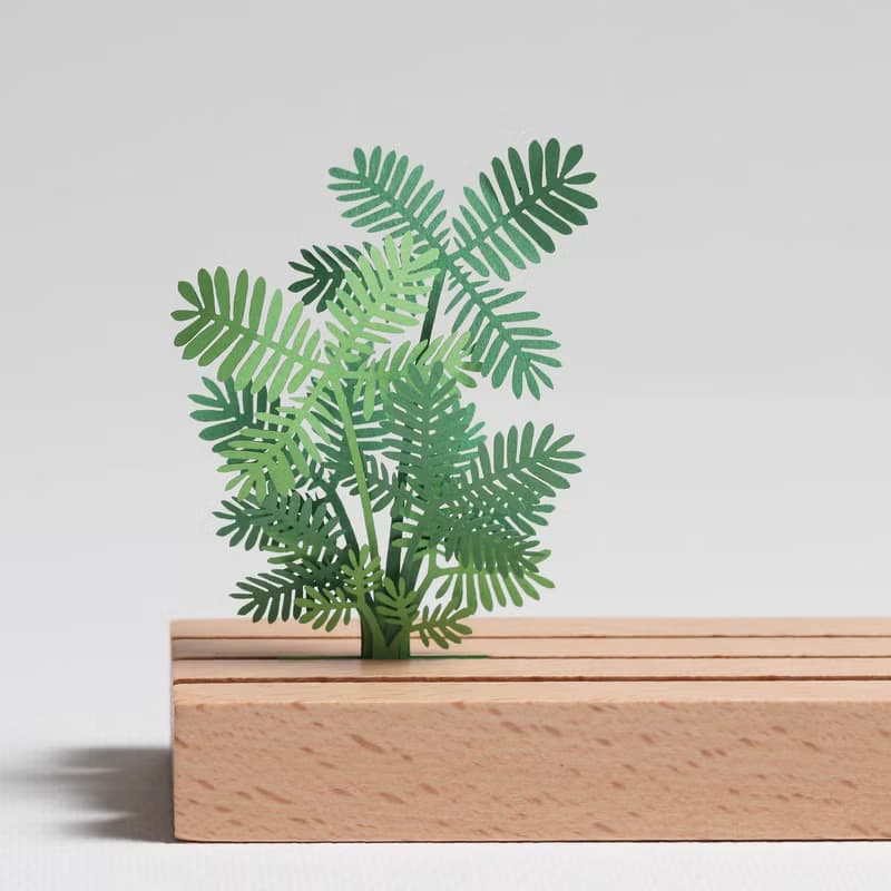 【立體植物貼紙】含羞草 (605035) FingerART紙雕紙藝術