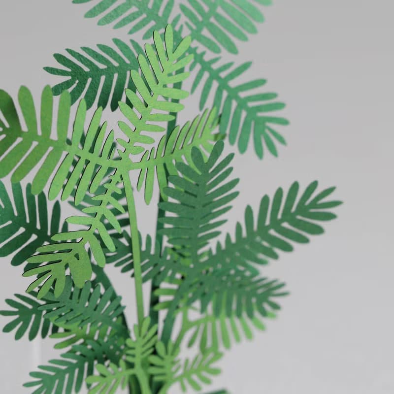 【立體植物貼紙】含羞草 (605035) FingerART紙雕紙藝術