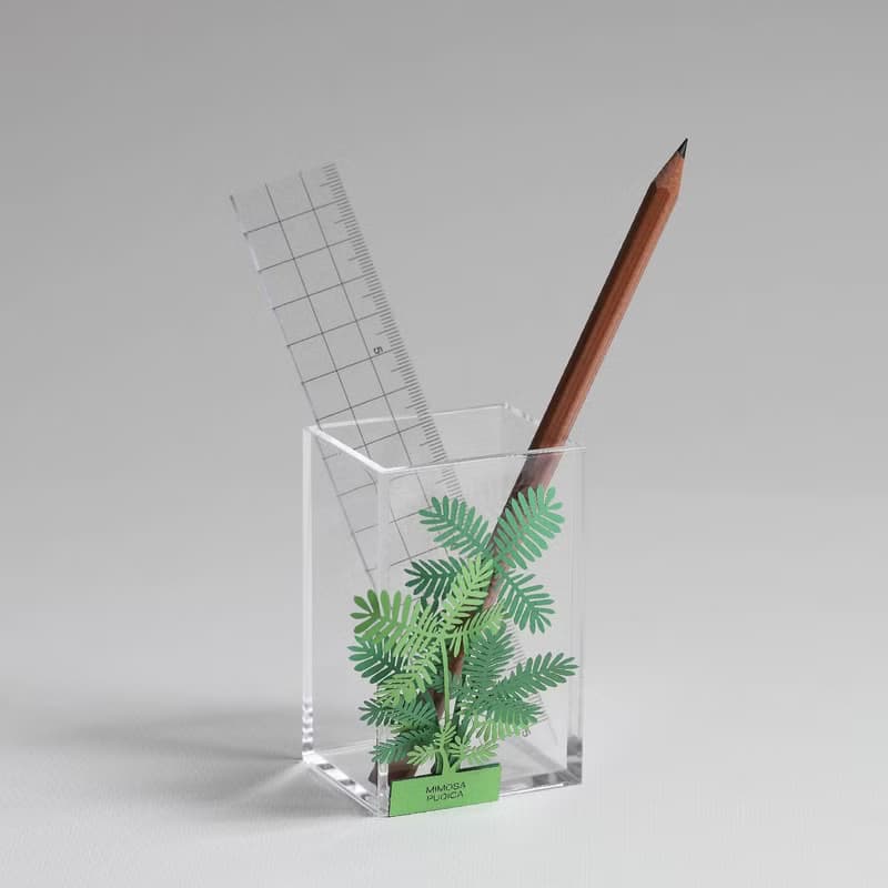 【立體植物貼紙】含羞草 (605035) FingerART紙雕紙藝術