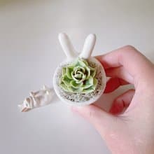 富士。仿真黏土多肉植物_兔耳白瓷盆