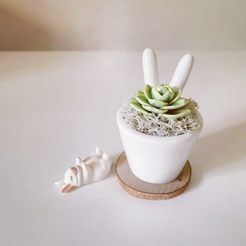 富士。仿真黏土多肉植物_兔耳白瓷盆