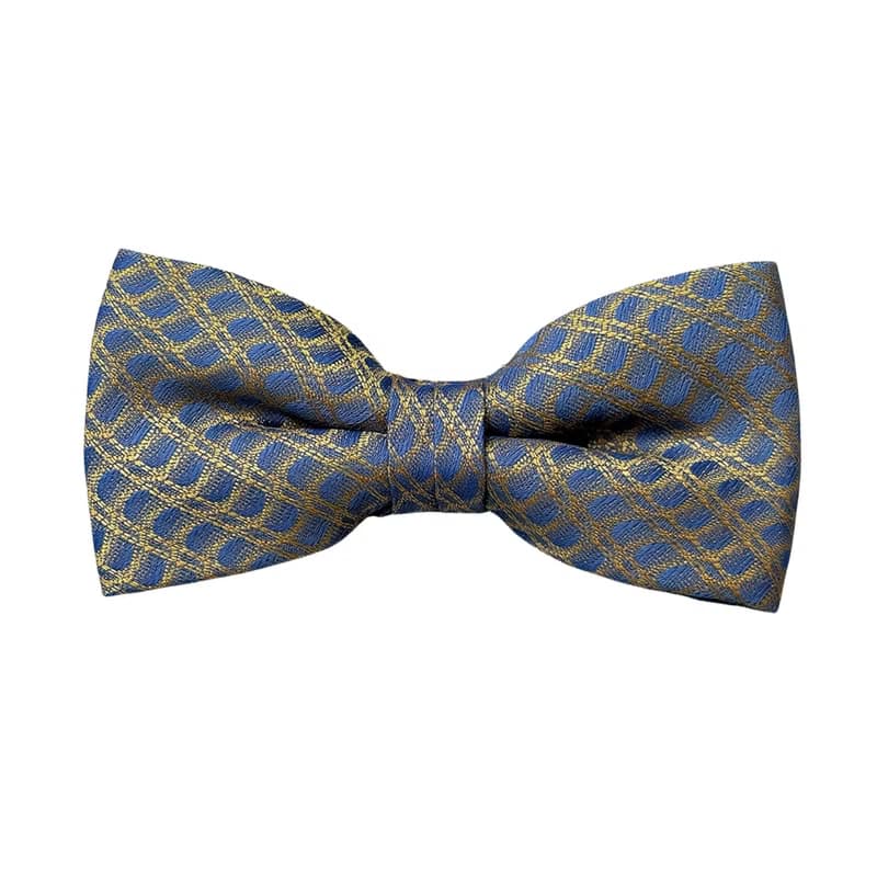 捕夢網黃藍領結