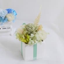香氛花盆花 森林綠 結婚捧花畢業謝師禮物生日畢業禮物