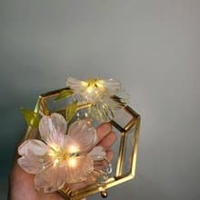 【沾浸藝術•玻璃飾盒】櫻花。小夜燈。生日禮物