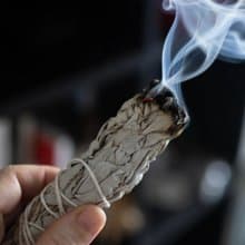 白色鼠尾草